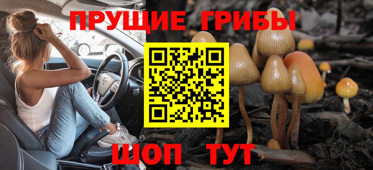 Псилоцибиновые грибы мицелий  Галлюциногенные грибы прущие грибы  Вход с VPN  Губкин 