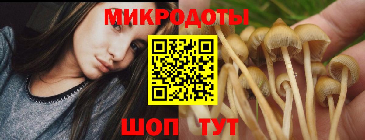 Галлюциногенные грибы Magic Shrooms Губкин